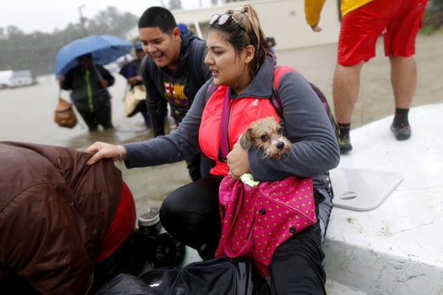 Jonathan Bachman / Reuters Mulher e seu cãozinho após passagem do furacão Harvey