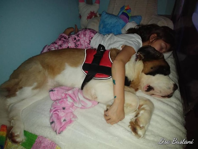 Imagem cedida por Lisa Bustani Adotada há um mês, Hannah já se tornou uma companheira fiel de Gabby.