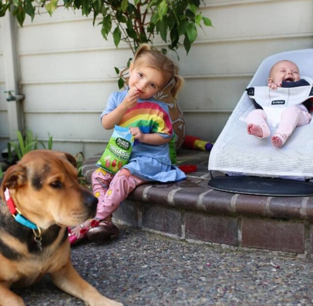 instagram.com/mommasgonecity/ Vínculo de amizade entre animais domésticos e família está relacionado com cuidados de saúde e planejamento.