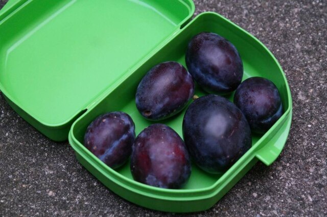 Hans/Pixabay Frutas pequenas são opções práticas para a lancheira das crianças.
