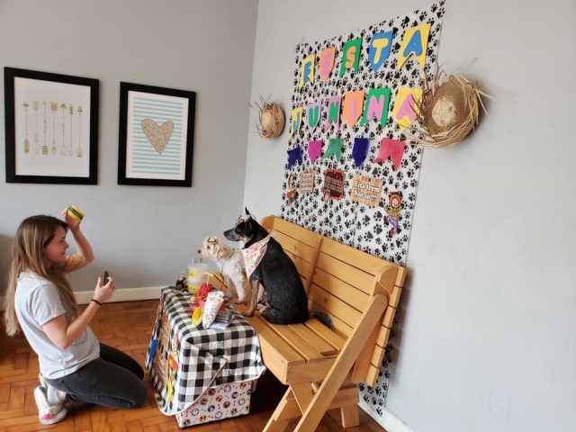 Divulgação/DogHero Para manter atenção do seu cãozinho, você pode utilizar brinquedos ou petiscos