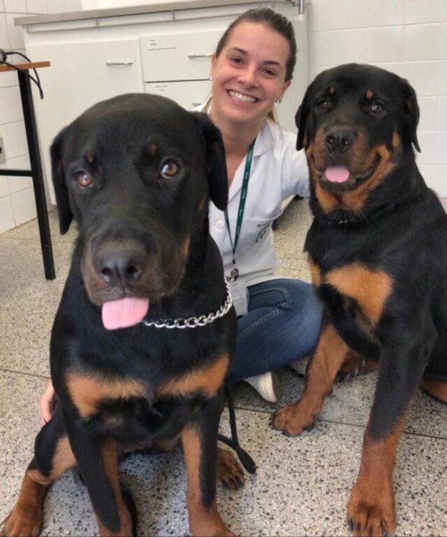 Arquivo pessoal A veterinária Bruna Fabro afirma que, se a pele do pet ficar ressecada em excesso, pode causar coceira e incomodá-lo, incluindo comportamentos de mordidas e lambindas nas áreas afetadas.