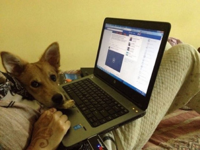Reprodução / Facebook