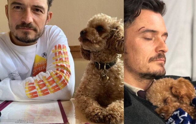 Reprodução Instagram/ @orlandobloom Orlando Bloom e seu cachorro Mighty