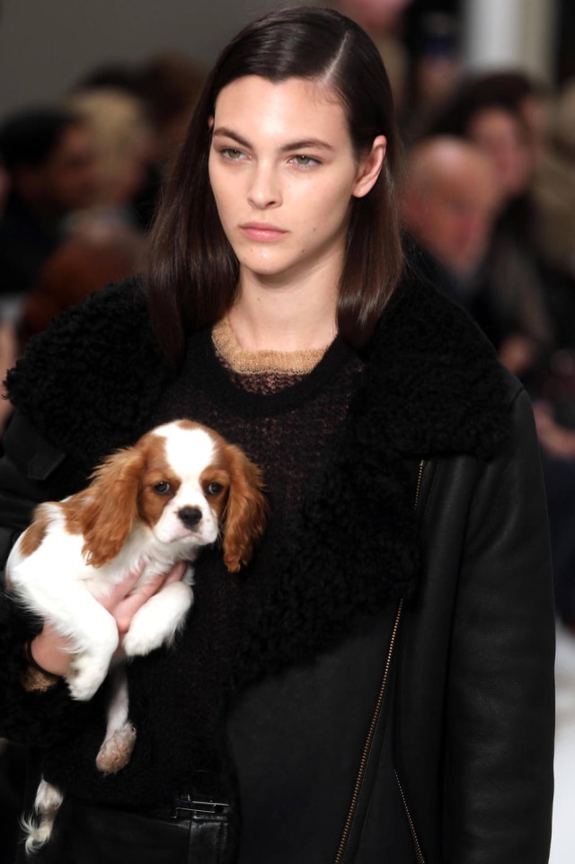 Matteo Bazzi/ANSA via AP Cavalier foi uma das raças de cachorro escolhidas para fazer parte do desfile da Tod's