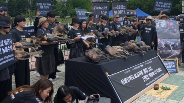 Reprodução/CNN Kim Basinger segura cachorro morto ao lado de ativistas na Coreia do Sul.