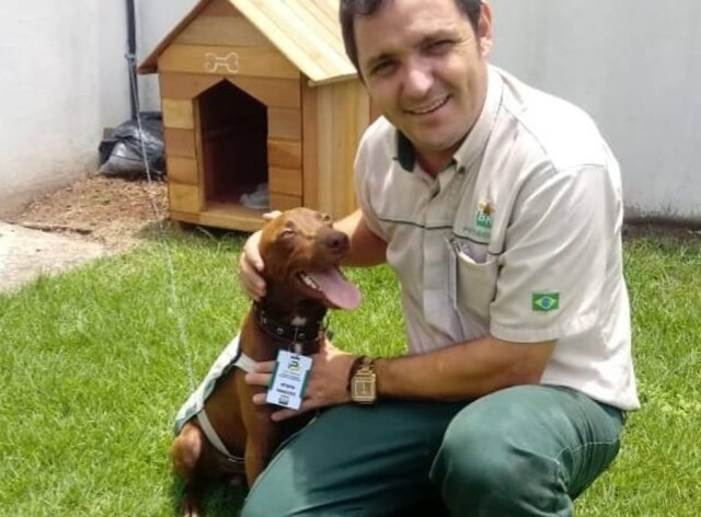 Facebook / @postoprimaverasinop Stopa com o gerente de posto de gasolina Daniel Trindade, que adotou o animal