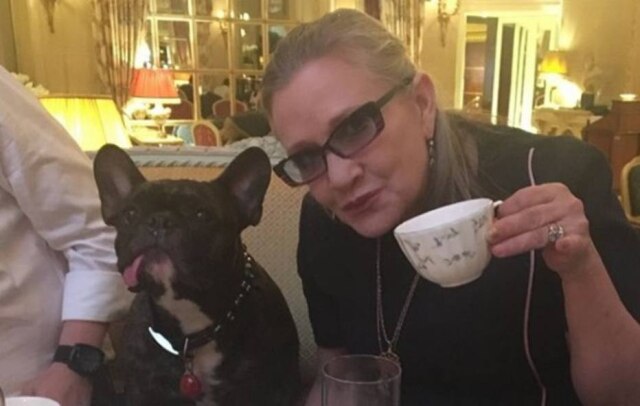Instagram / @garyfisher Carrie Fisher e seu cãozinho