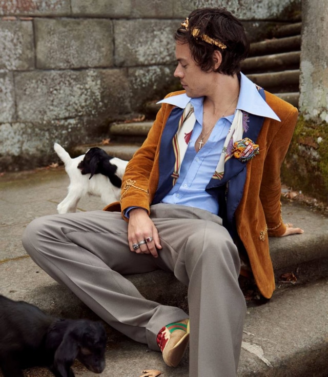 Glen Luchford/Gucci Harry Styles posa com cabras e porquinhos na campanha