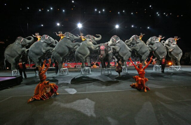James Estrin/The New York Times Um show do Ringling Brothers em 2009. O circo aposentou seus elefantes em maio