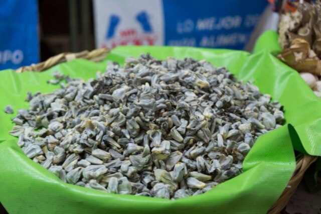 Matias Arroyo|Estadão Huitlacoche no Mercado de Flores