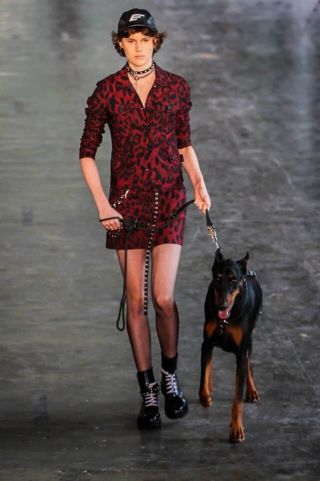 EFE/FERNANDO BIZERRA JR Um cachorro doberman também apareceu no desfile da Ellus