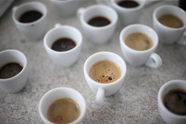 Nova safra de cafés instantâneos mostra que mercado está empenhado em oferecer produtos de melhor qualidade