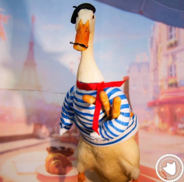www.instagram.com/guustheduck/ Guus, o pato que faz sucesso no Instagram.