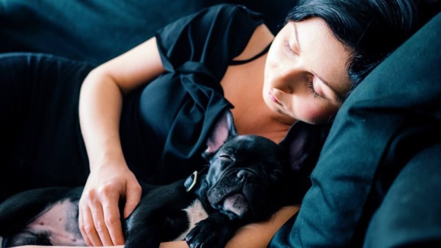 unsplash/@snik3rs Muitas pessoas têm o hábito de dormir com seus cães e gatos.