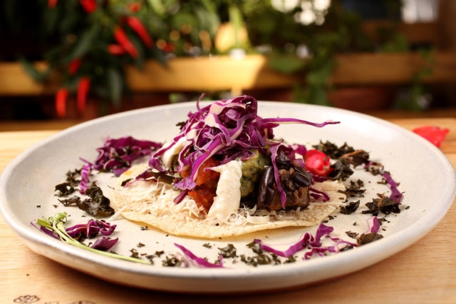 Daniel Cancini Entre as inspirações mexicanas, o taco de milho com salsa, pico de gallo, queijo fermentado de castanha, coentro e jaca temperada