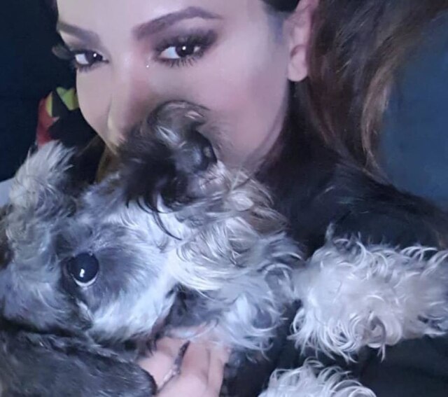 Instagram/@anitta Anitta com um de seus cachorros, que morreu enquanto ela estava trabalhando.