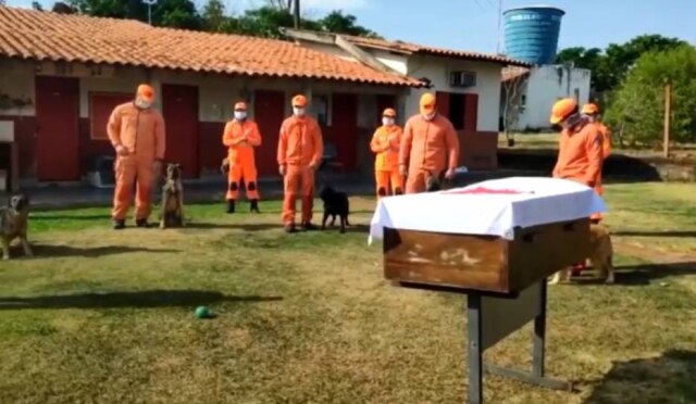 Instagram / @bombeirosmg O cão de resgate Luck, que atuava com bombeiros, recebeu uma homenagem após sua morte