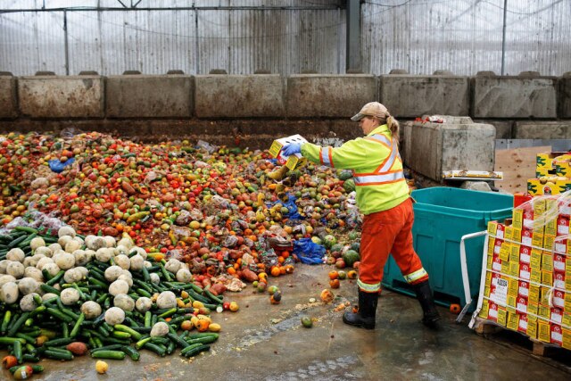 REUTERS/Ben Nelms De acordo com a Organização das Nações Unidas para a Alimentação e Agricultura, 1,3 bilhão de toneladas é perdido ou vai para o lixo