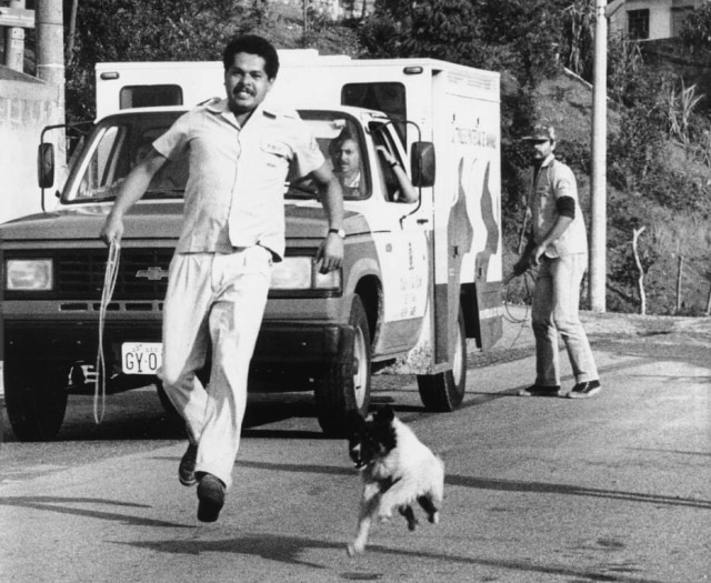 Cachorro corre de laçador em 1989 em foto de Sérgio Amaral. Veículos e laçadores que capturavam animais de rua eram recebidos a pedradas por moradores