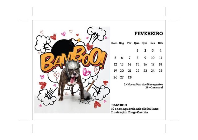 Renata Augustin/Cusco Pics/Divulgação Cão Bamboo ganhou um capacete em ilustração de Diego Castria