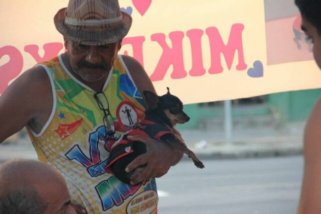 Arquivo Pessoal / Rui Barbosa O cãozinho Mike Tyson e seu dono, Rui Barbosa