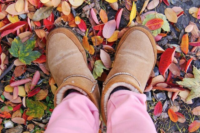 Pixabay / @sharonang Botas de lã são consideradas inapropriadas no local