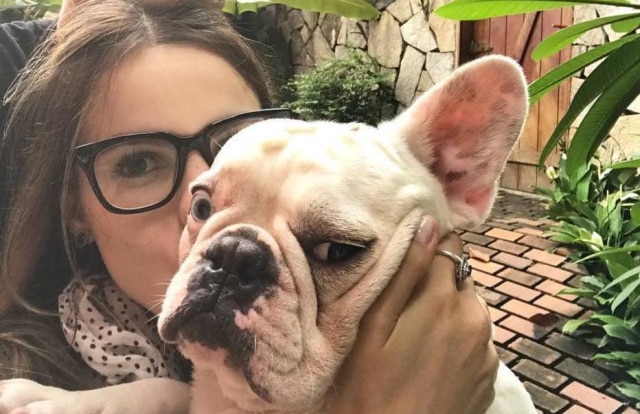 Instagram / @showdosnow Sthefany Brito e seu cãozinho, Snow