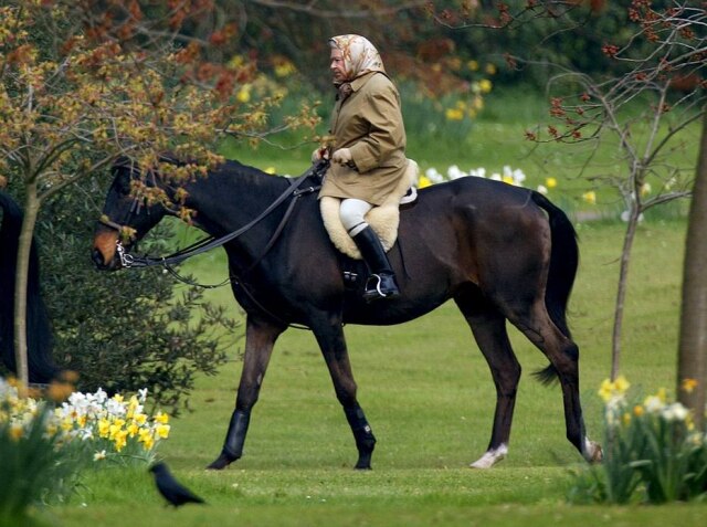 REUTERS/Dan Chung/Files A rainha anda a cavalo nos jardins do Castelo de Windsor em 2002.