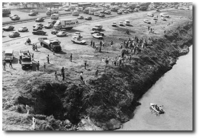 Jacaré no Rio Tietê mobilizou São Paulo em 1990 - Notícias - Estadão