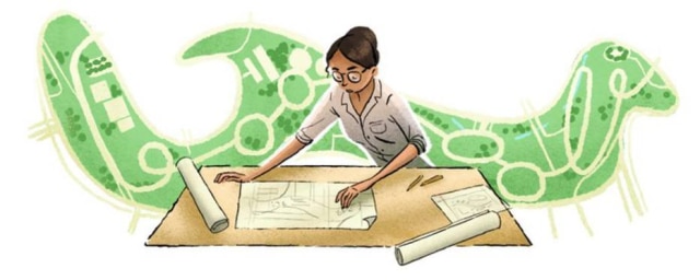 Google/Reprodução Google homenageia Lotta de Macedo Soares