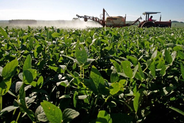 Jenne Roriz|Estadão Grãos. Produção atual de 2.068 milhões de toneladas poderia alimentar a população projetada para 2050