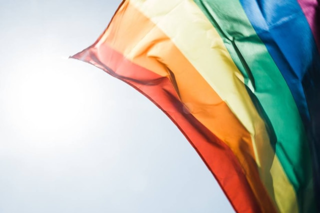 Instagram/@peterhershey Evento do MPT promove visibilidade e direitos LGBT.