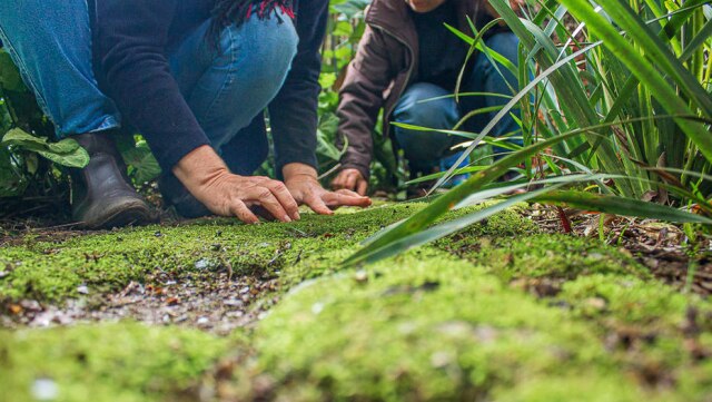 Leonardo Pires O curso ensina aos estudantes como montar e cultivar uma horta