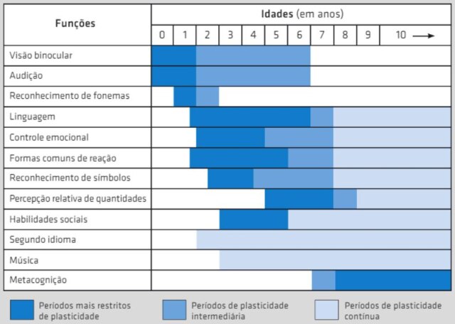 Reprodução do artigo 'Tecnologia para aprender' (2015) / ReserchGate Plasticidade é a capacidade do cérebro construir novas conexões entre os neurônios após o estímulo de novas experiências.