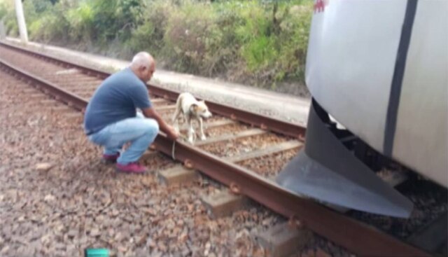 Companhia Brasileira de Trens Urbanos