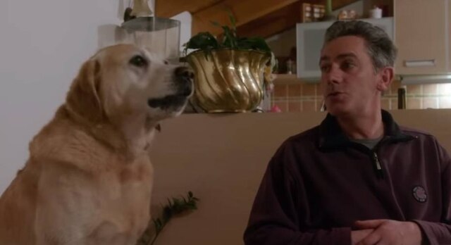 Reprodução de 'Apenas Cães' (2018) / Netflix Cena de 'Apenas Cães'.