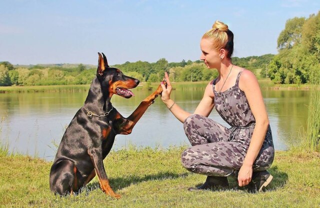YamaBSM/Pixabay Companhia de alimentação animal beneficia funcionáios com licença remunerada.