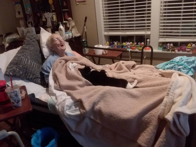 Alexis Hackney / Arquivo pessoal Quando Whaley parou de sair da cama, Trooper passou a levar 'presentes' para a idosa: canudos, brinquedos de pelúcia, meias - qualquer coisa que pudesse animá-la.