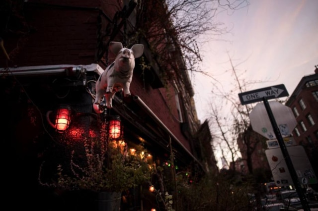 Karsten Moran|NYT The Spotted Pig.