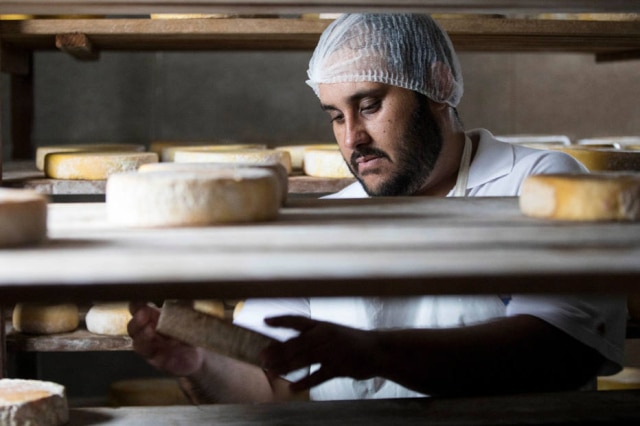 Canastra do Serjão, queijo é maturado por 100 dias e adquire mofo branco 