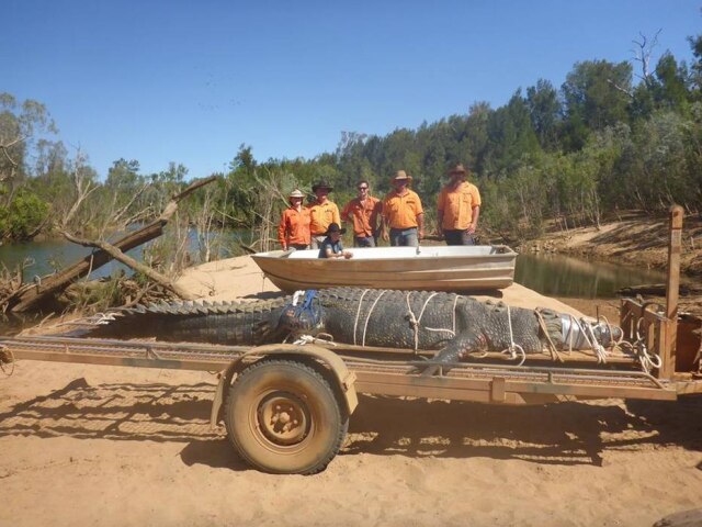 Facebook/ParksandWildlifeNT Crocodilo gigante foi encontrado em lago na Austrália.