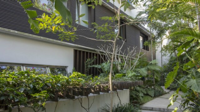 Zeca Wittner/Estadão Na fachada lateral da casa, Rodrigo Oliveira destaca a treliça de madeira por onde corre a ipoméia-rubra. O objetivo do projeto foi criar um jardim que evocasse uma mata antiga