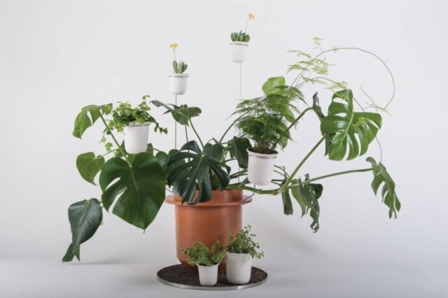 Dossofiorito A coleção The Phytophiler, do duo de designers Dossofiorito, nos quais vasos de plantas ganham diversos apêndices