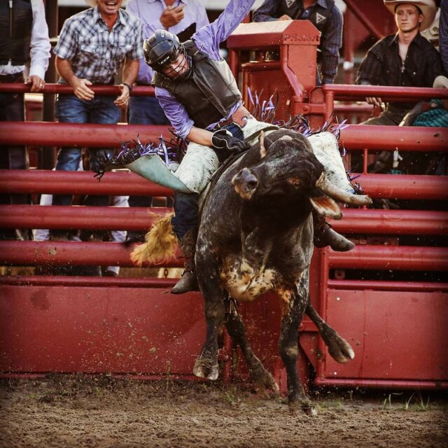 Instagram / @cody__hooks 'Muito obrigada ao meu pai, Landis Hooks e aos toureiros ontem à noite em Belton, Texas', Cody Hooks agradeceu por ter sido protegido de touro.