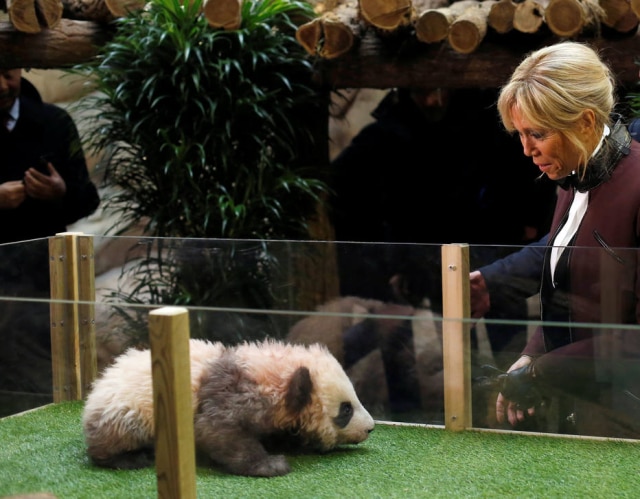 REUTERS/Thibault Camus/Pool Brigitte Macron na cerimônia de nomeação do panda