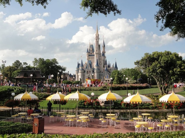 Pixabay / @rgrivas10 Além da Disney, empresas como McDonald's e Starbucks também estão comprometidas com a causa.