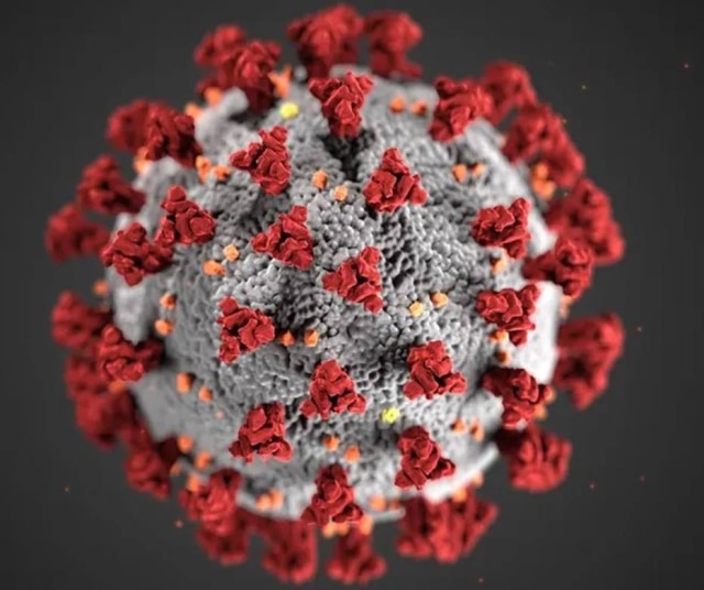 CDC/ Divulgação Imagem do novo coronavírus