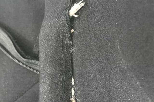 Reprodução Rato morto estava costurado no vestido da Zara.