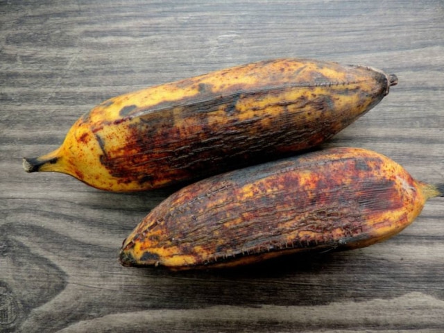 Seu nome científico é Musa acuminata × balbisiana, híbrida da Musa acumilata com Musa balbisiana, originária das Filipinas, onde é conhecida por sapa banana. Além de figo e marmelo, Brasil afora, recebe vários outros nomes.
